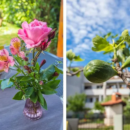 Motovunska 39a Appartement *