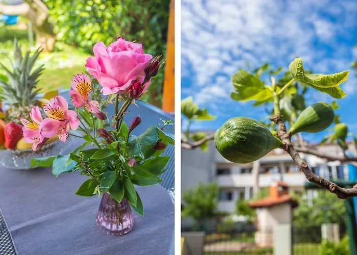 Motovunska 39a アパート *